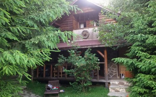 Cabana test pentru titlu lung si afisare pe prima pagina a site-ului