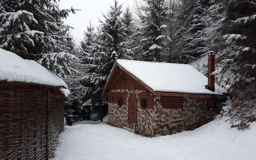 Cabana test pentru titlu lung si afisare pe prima pagina a site-ului