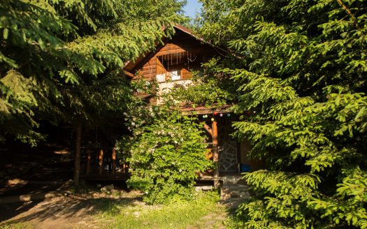 Cabana test pentru titlu lung si afisare pe prima pagina a site-ului