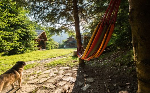 Cabana test pentru titlu lung si afisare pe prima pagina a site-ului